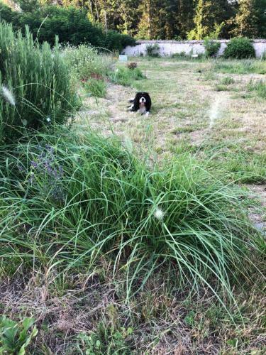Le Pigeonnier Rte de Gievres Selles Sur Cher