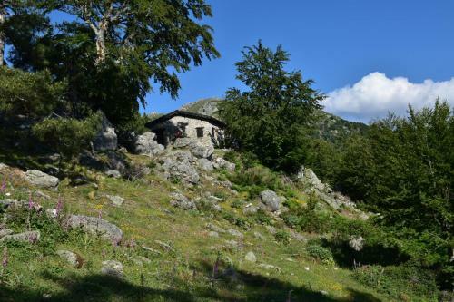 Villa Cosy Avec Piscine Privative