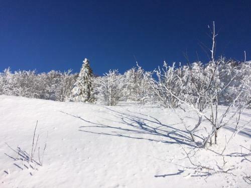 Apartamento Les Prairies Du Lac