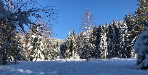 Le Batelier Du Lac