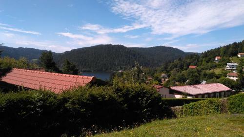 Apartamento Appart Terrasse Vue Lac