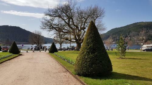 Apartamentos F2 Sur Les Hauteurs De Gerardmer