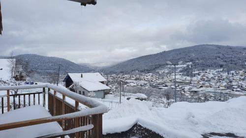 Apartamentos F2 Sur Les Hauteurs De Gerardmer
