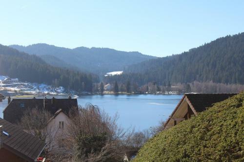 Apartamento Appartement Gerardmer 4 Personnes