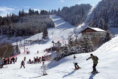 Chalet Les Cam�lias