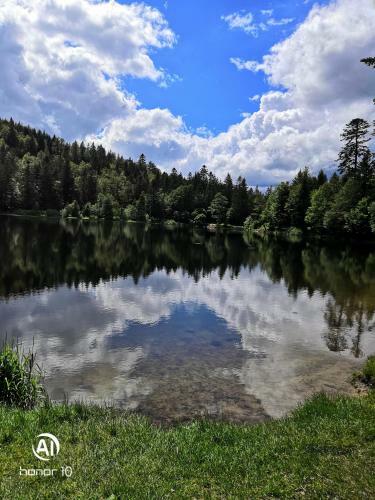 Apartamento Studio R�sidence La Mauselaine La Perle Des Vosges