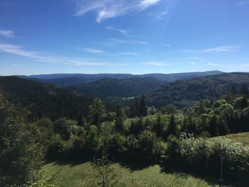 Apartamento Le Belvosgien