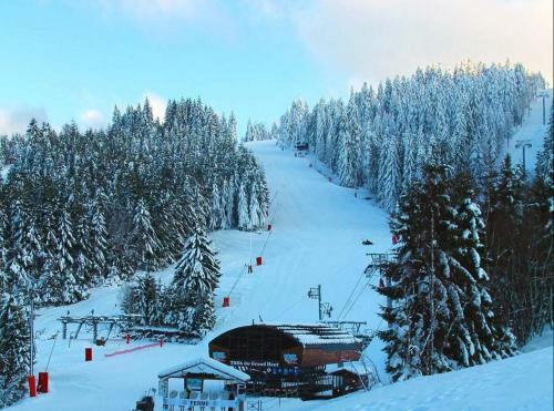 Apartamento Location Studio Gerardmer 4 Personnes Vue Montagne