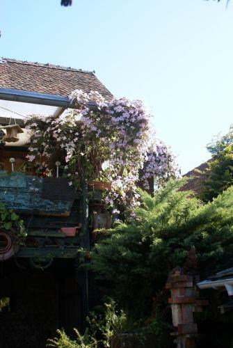 Apartamento Maison Art Et Jardin
