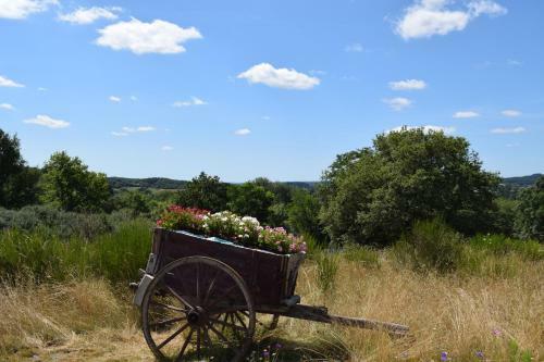Pipowagen ( La Petite Gitane )