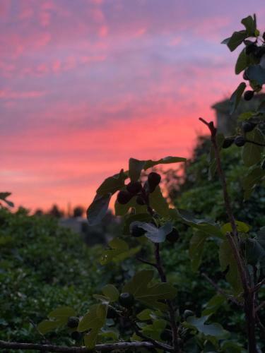Maison A Gordes Centre 200m2 Terrasse Panoramique