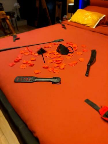 Apartamento La Loveroom Bdsm Grassoise "la Chambre Des D�sirs"