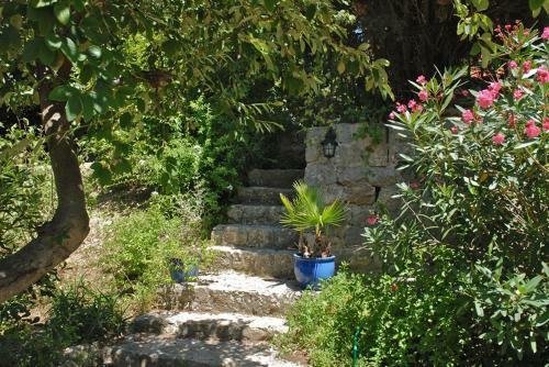 Bed & Breakfast Chambres D'h�tes Il Monticello