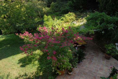 Bed & Breakfast Chambres D'h�tes Il Monticello