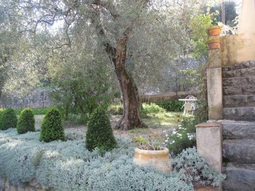 Apartamento Charmant Studio Ind�pendant; 30 Min Cannes
