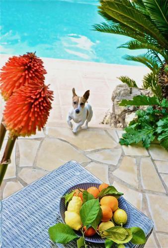 Bastide A�na Spa Et Piscine