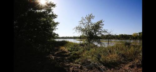 Villa Newly Remodeled Riverfront Cabin In Crane Country