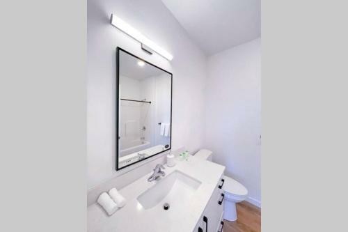 Bright 1bd/1ba Downtown Omaha Apartments