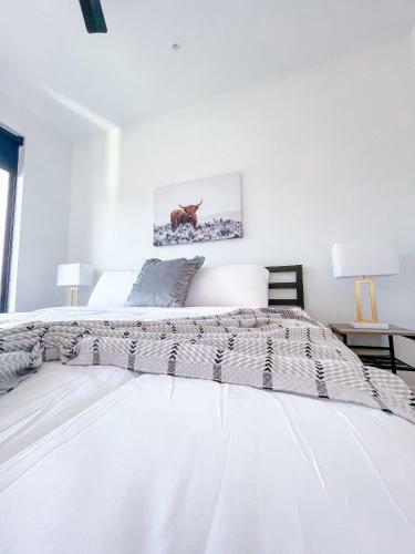 Bright 1bd/1ba Downtown Omaha Apartments