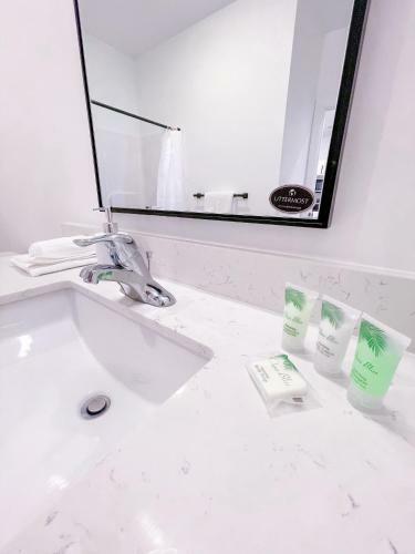 Bright 1bd/1ba Downtown Omaha Apartments