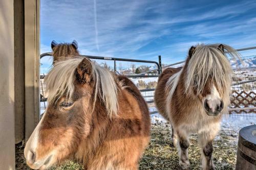 Rural Spring Creek Home Countryside Living!