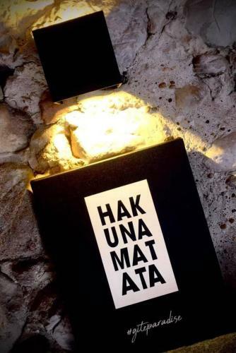Hakuna Matata G�te & Spa Savoie