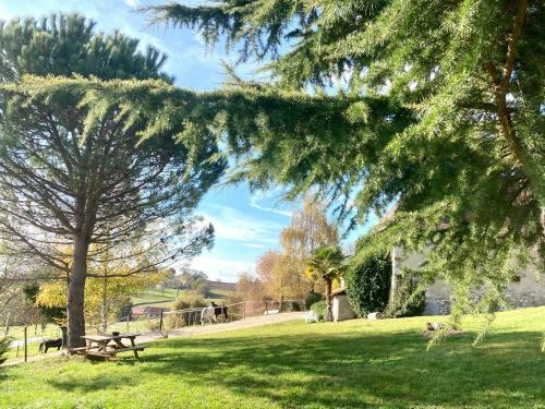 Hakuna Matata G�te & Spa Savoie