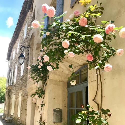 Apartamentos Marquise Des Roses