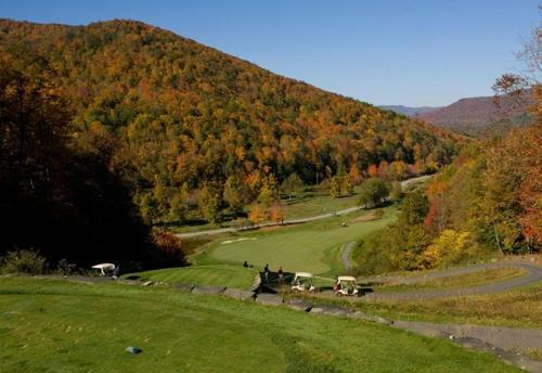 Hotel Inn At Snowshoe