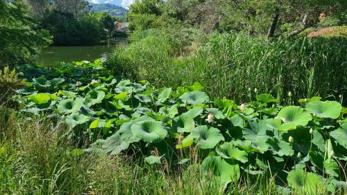 Apartamento Les Restanques Du Golfe De Saint Tropez, R�sidence Pierre Et Vacances