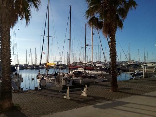 Apartamento La Grande Voile