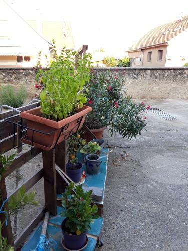 G�te De La Ferme