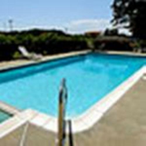 The Whispering Pines Motel- Whitestone