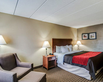 Hotel Comfort Inn & Suites Raphine