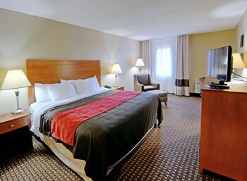 Hotel Comfort Inn & Suites Raphine