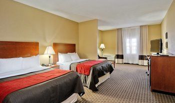 Hotel Comfort Inn & Suites Raphine