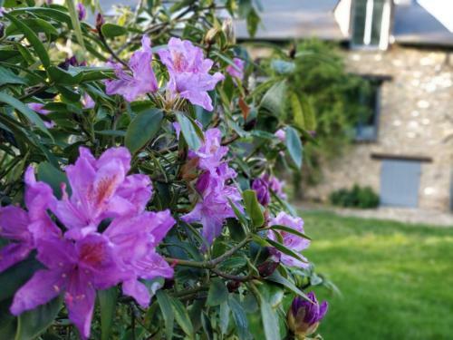 Bed & Breakfast Le Clos Des Noues