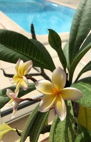 Bed & Breakfast La Vague Sal�e