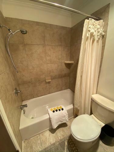 Red River Getaway- Ski In Ski Out, Newly Remodeled