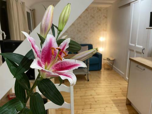 Apartamento Houlgate Appartement La Briarde