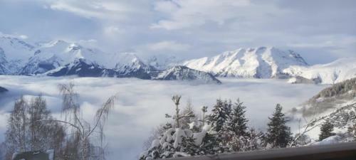 Apartamento Vue Exceptionnelle Alpe D Huez