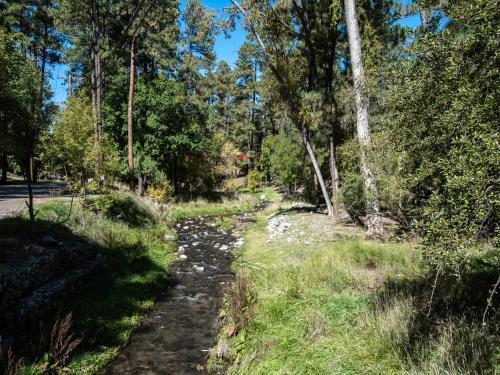 Lodge Pine Cabin, 2 Bedrooms, Fireplace, Midtown, Sleeps 6