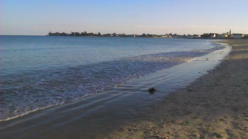 Apartamento � 50 M�tres De La Plage
