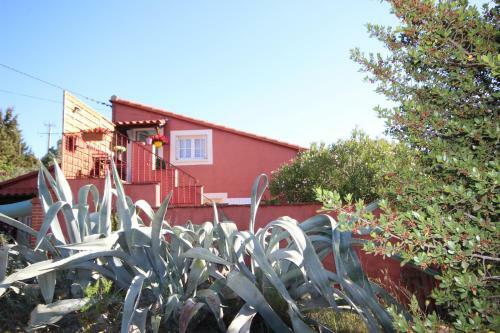 Apartamento G�te Les Mimosas Des Orgues de La Sybille