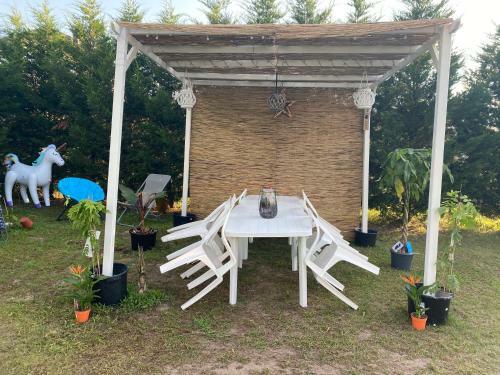 Apartamentos Au Paradis D?alsace 55 M2 Nature & Relax