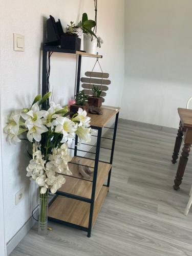 Apartamentos Au Paradis D?alsace 55 M2 Nature & Relax