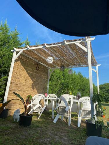 Apartamentos Au Paradis D?alsace 55 M2 Nature & Relax