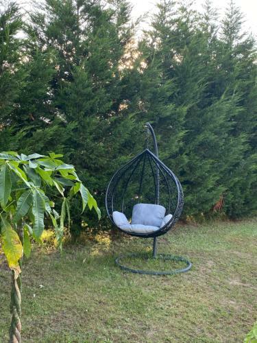 Apartamentos Au Paradis D?alsace 55 M2 Nature & Relax
