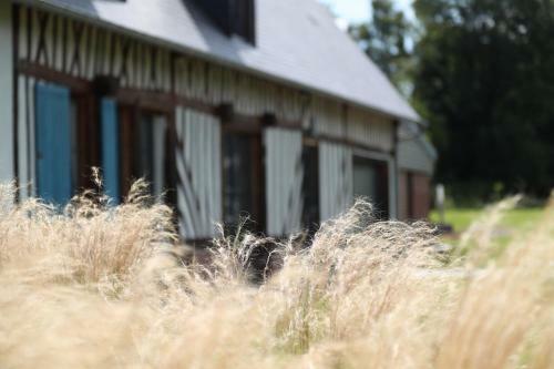 Bed & Breakfast La Pomme D'amour
