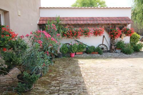 Bed & Breakfast La Chambre Aux Hirondelles